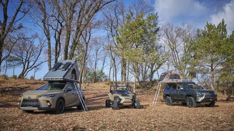 Car (general) seat covers shown in a real-world setting